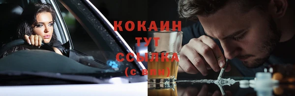 спиды Богданович