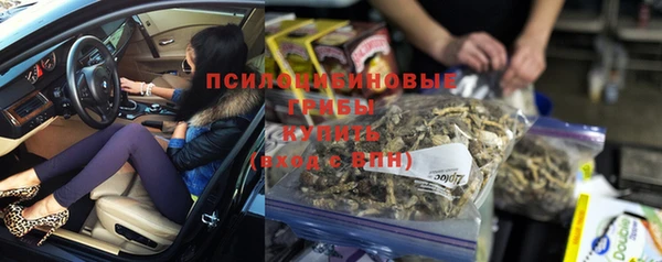 спиды Богданович