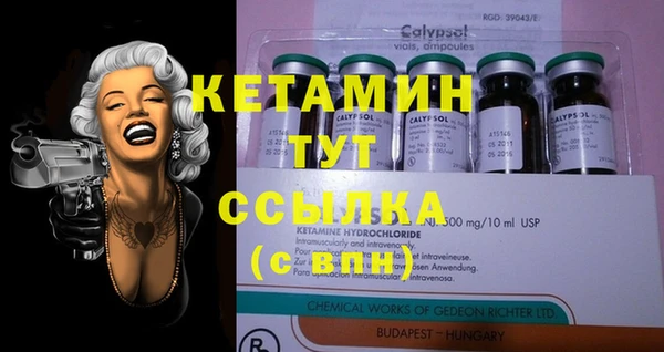 спиды Богданович